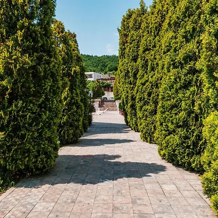Privilege Sveti Vlas
