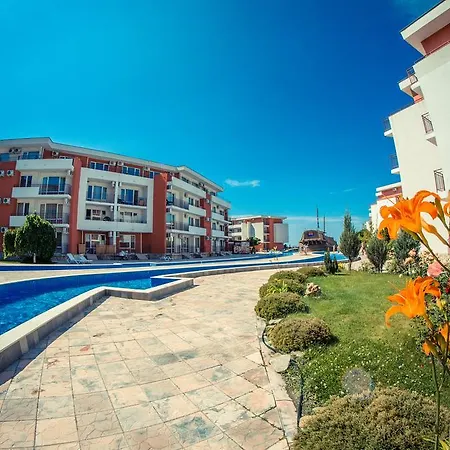 Privilege سفيتي فلاس